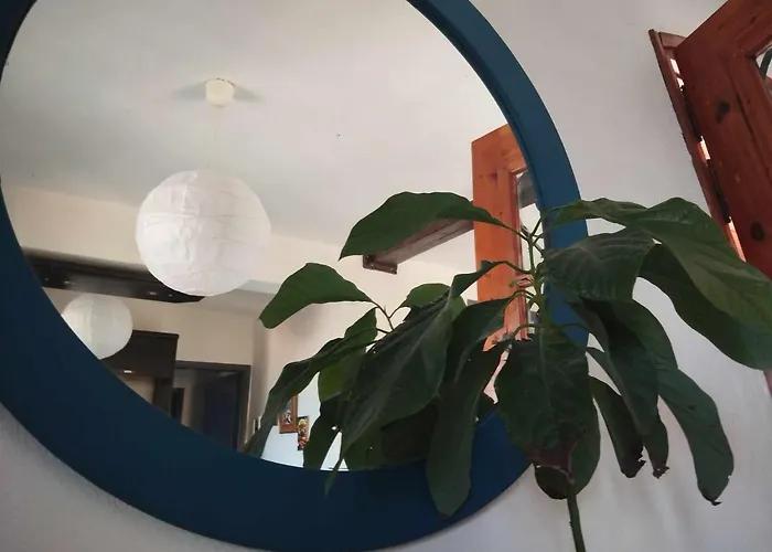 4 εποχές Case de vacanță Amaliápoli